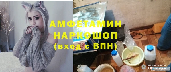 спиды Богородицк