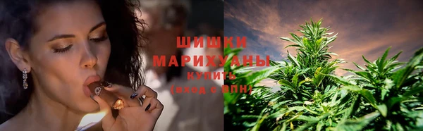 СК Белокуриха