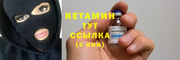 спиды Богородицк