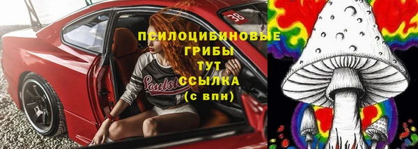 стаф Белоозёрский