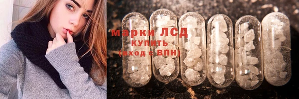 спиды Богородицк
